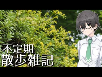 【フォトウォーク祭2025】不定期散歩雑記_66 - 6月の立久恵峡