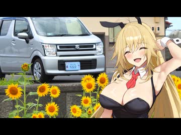 【ソフトウェアトーク車載】岡山険道？を走ったよ【バニー差分】