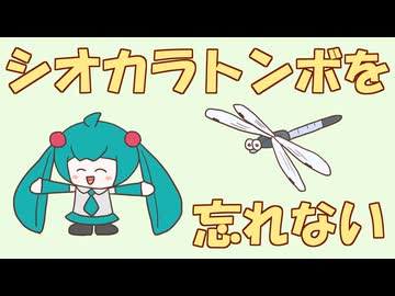 【短い曲シリーズ】シオカラトンボを忘れない / 初音ミク