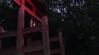 鷲神社　異界への門【心霊スポット】①