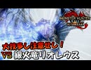 大技多し注意せし！VS 銀火竜 リオレウス希少種【MHRiseSunBreak/モンハンライズサンブレイク】
