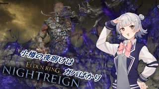 【ELDEN RING NIGHTREIGN】小樽の夜明けはガバばかり　五夜目