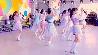 つばきの夏'25