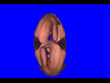 何も考えずに作ったタクヤBB