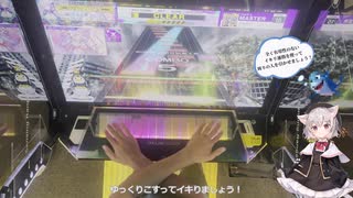 初代全鳥が行く現代のチュウニズム #5