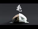 Furtle ～もしカメがふさふさだったら～