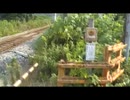 岩中踏切で撮るサンパチ
