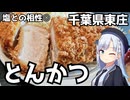 【車載】塩との相性が抜群のSPF豚とんかつを食べに行く【千葉県のグルメ】