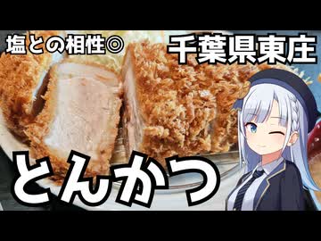 【車載】塩との相性が抜群のSPF豚とんかつを食べに行く【千葉県のグルメ】