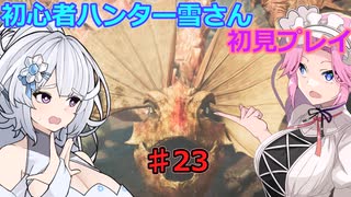 【モンスターハンターワイルズ】初心者ハンター雪さん初見プレイ♯23