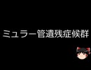 【ゆっくり朗読】ゆっくりさんと不思議な病気 その722