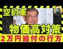 2万円・4万円給付問題で大波乱！石破総理は出来ない？総理周辺は「実現は難しい」【龍之介ラジオ深掘り】渡辺創(立憲民主党)2025年8月4日 予算委員会【龍之介channel】