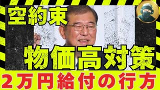 2万円・4万円給付問題で大波乱！石破総理は出来ない？総理周辺は「実現は難しい」【龍之介ラジオ深掘り】渡辺創(立憲民主党)2025年8月4日 予算委員会【龍之介channel】