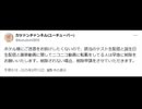 【概要参照】カツドンチャンネル　削除した誕生日関連動画＆アーカイブ配布