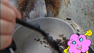 【初体験】第11個 スイカの種を炒ってつくったお茶を飲むぽこ！□ぽこぴんちょぷぽぴんと100個の初体験