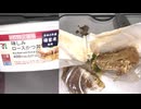 セブンイレブンの令和３年産備蓄米使用の味しみロースかつ丼を食べました。　#セブンイレブン #備蓄米 #ロースかつ #かつ丼