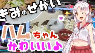 【beatmaniaIIDX】ついなちゃんのにちようびPart15-きみのせかい編-【実況】