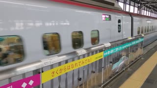 はやぶさ+こまち　盛岡駅発車