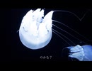 「海底」feat.心華【オリジナル曲】