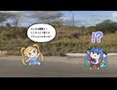 RTAちゃんとターボと電柱
