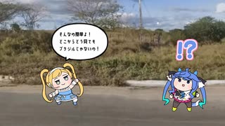 RTAちゃんとターボと電柱