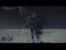 【ソロプレイ】ELDEN RING NIGHTREIGN_夜を象る者【DAYⅢ】