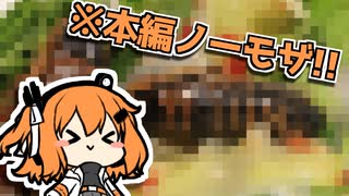 【ニコニコ虫祭り】デュビアの生春巻き【昆虫食】