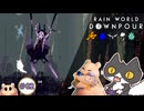 【☔轟くRainworld】泡の果実を探しに＃02【Downpour/グルマンのフードクエスト/バブルフルーツ/ヘイザー】