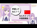 【なんちゃって中国語講座】声調を知ろう！奥深い中国語の世界を届けたい【初心者向け】