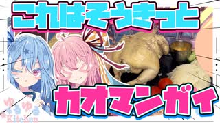 【カオマンガイリレー第五十一夜】これはそうきっとカオマンガイ！！【琴葉姉妹】