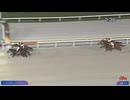 2025年8月14日大井競馬11R 東京記念トライアル(OP) グリューヴルム