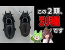 【ニコニコ虫祭り】誰得！マイナーな外国産ヒラタクワガタ♀の判別法