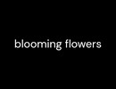 blooming flowers