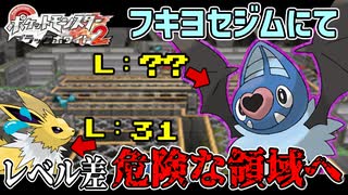 失ったポケモンは二度と戻らない。【BW2】#29
