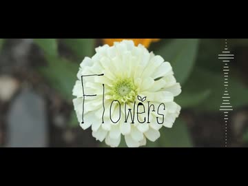 Flowers / 初音ミク