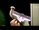 完全勝利したSJKくんUC