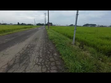 農家っていろいろなことしてるんだね３