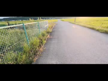 農家っていろいろなことしてるんだね５