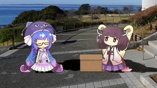 音街ウナと東北きりたんの犯罪取引