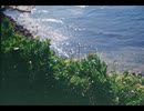ベクトル/裏命