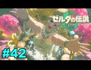【ゆっくり実況】ティアキンぜんぶやる #42