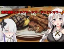 海芝浦駅とドックヤードガーデンとシズラー！横浜市鶴見/みなとみらい周辺　あかりたび#9