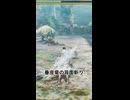 垂皮竜の背面斬りww#MH4G