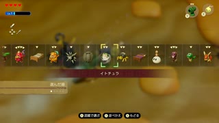 ゼルダの伝説知恵のかりもの 姉実況4