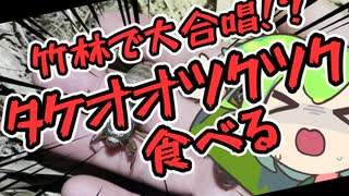 【ニコニコ虫祭り】お腹がすいたらタケオオツクツク食べればいいじゃない【VOICEVOX4周年文化祭】
