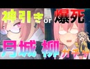 【ゼンゼロ】月城柳のすゝめ