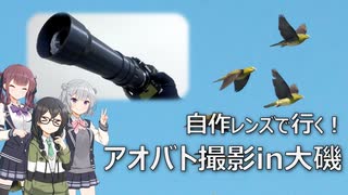 【千冬の自作レンズ】自作レンズで行く!潮高アオバト撮影部in大磯【花隈千冬投稿祭2025夏】