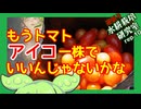 「アイコ一株でいいんじゃないかな」逆張り水耕栽培研究室rep.10