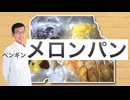 ペンギンベーカリーのメロンパン４種食べ比べてみた。