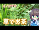 どこでも生えてる"イノコヅチ"をお茶にする！